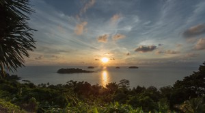 stock-photo-54728286